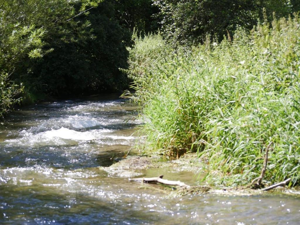 Ferienhaus Eichhoelzle Münsingen エクステリア 写真